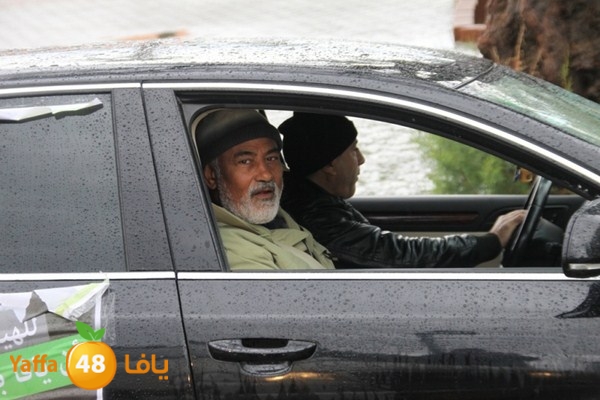 qafela sayarat haiywa (31).JPG